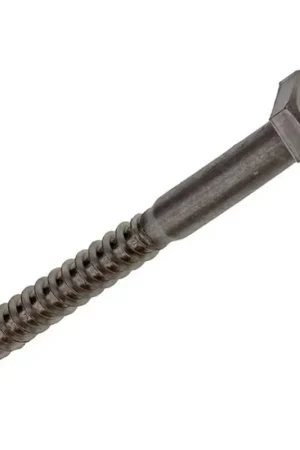 Alleen Vandaag Mack RVS Houtdraadbout 1 maal M10 x 100 mm